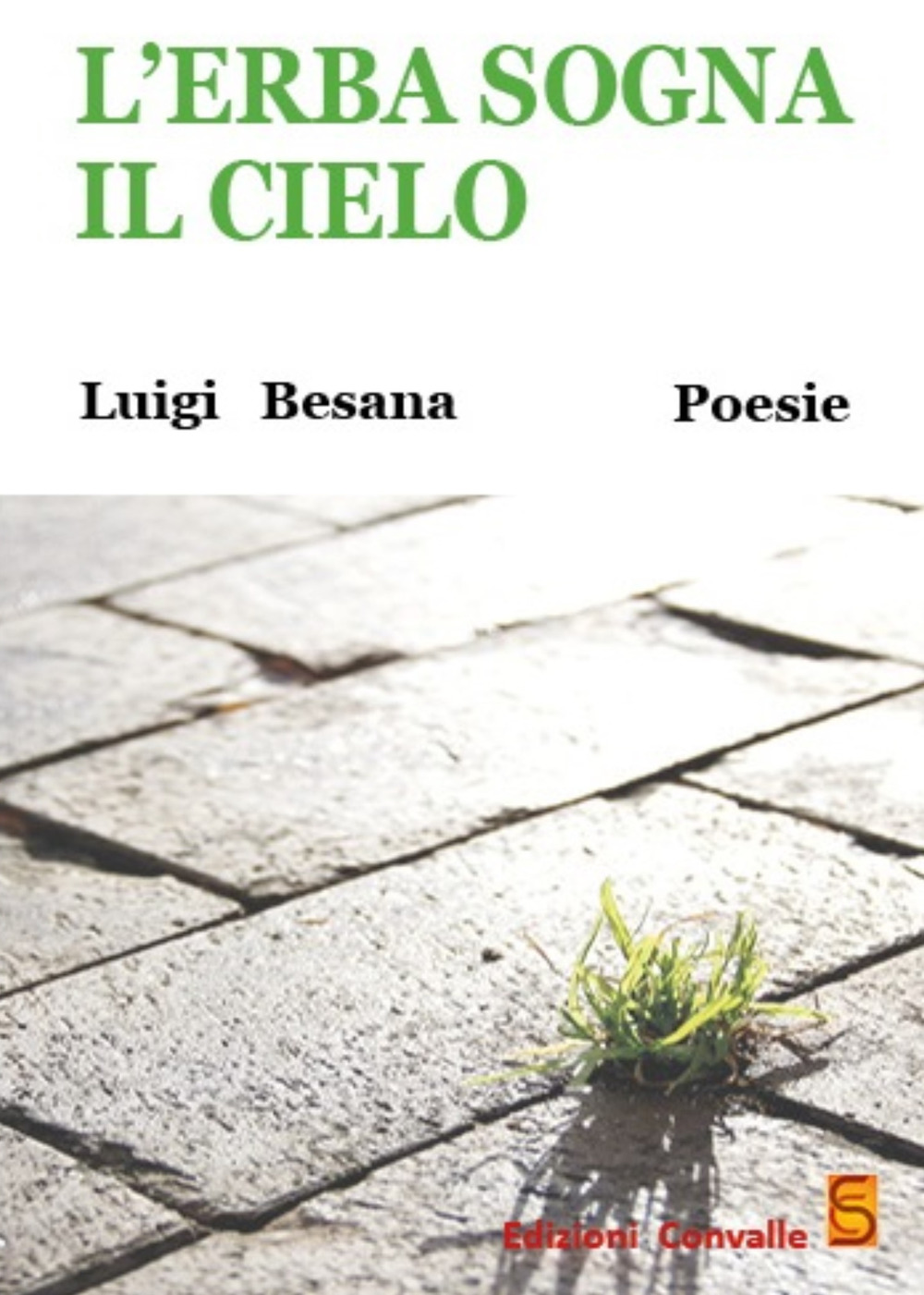 L'erba sogna il cielo