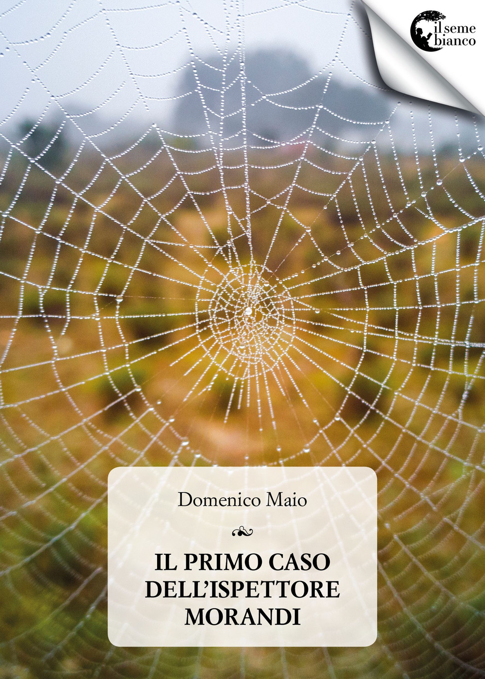 Il primo caso dell'ispettore Morandi