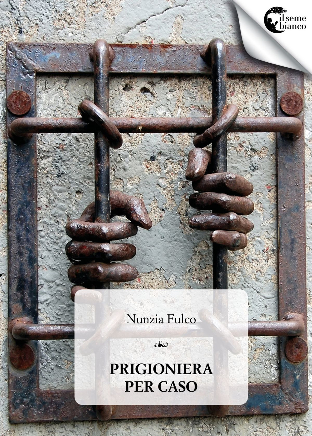 Una prigioniera per caso