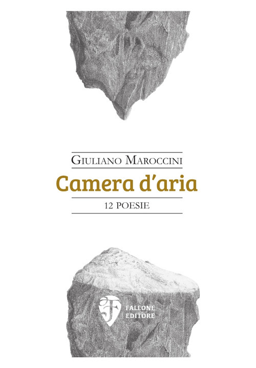 Camera d'aria