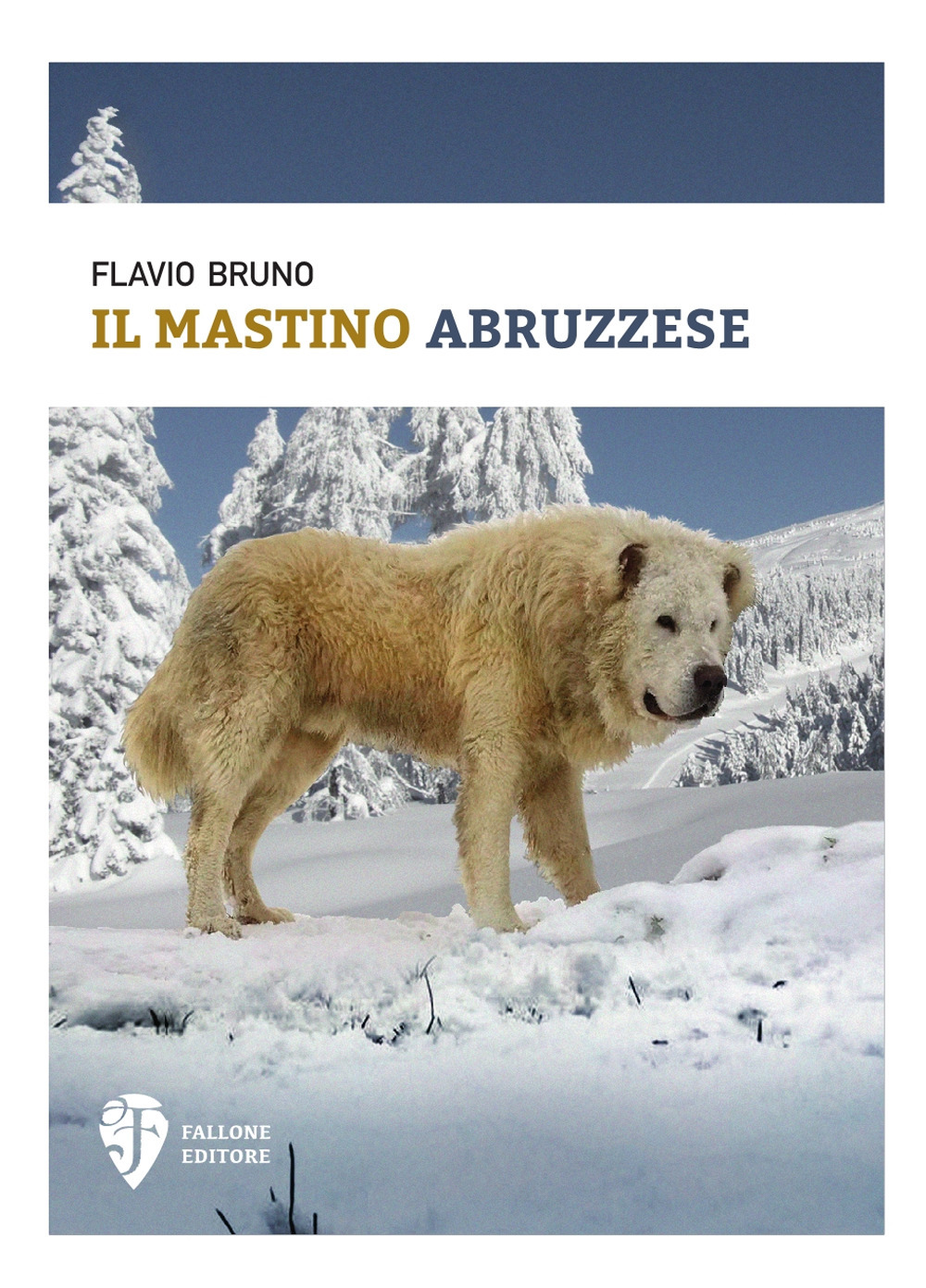 Il mastino abruzzese