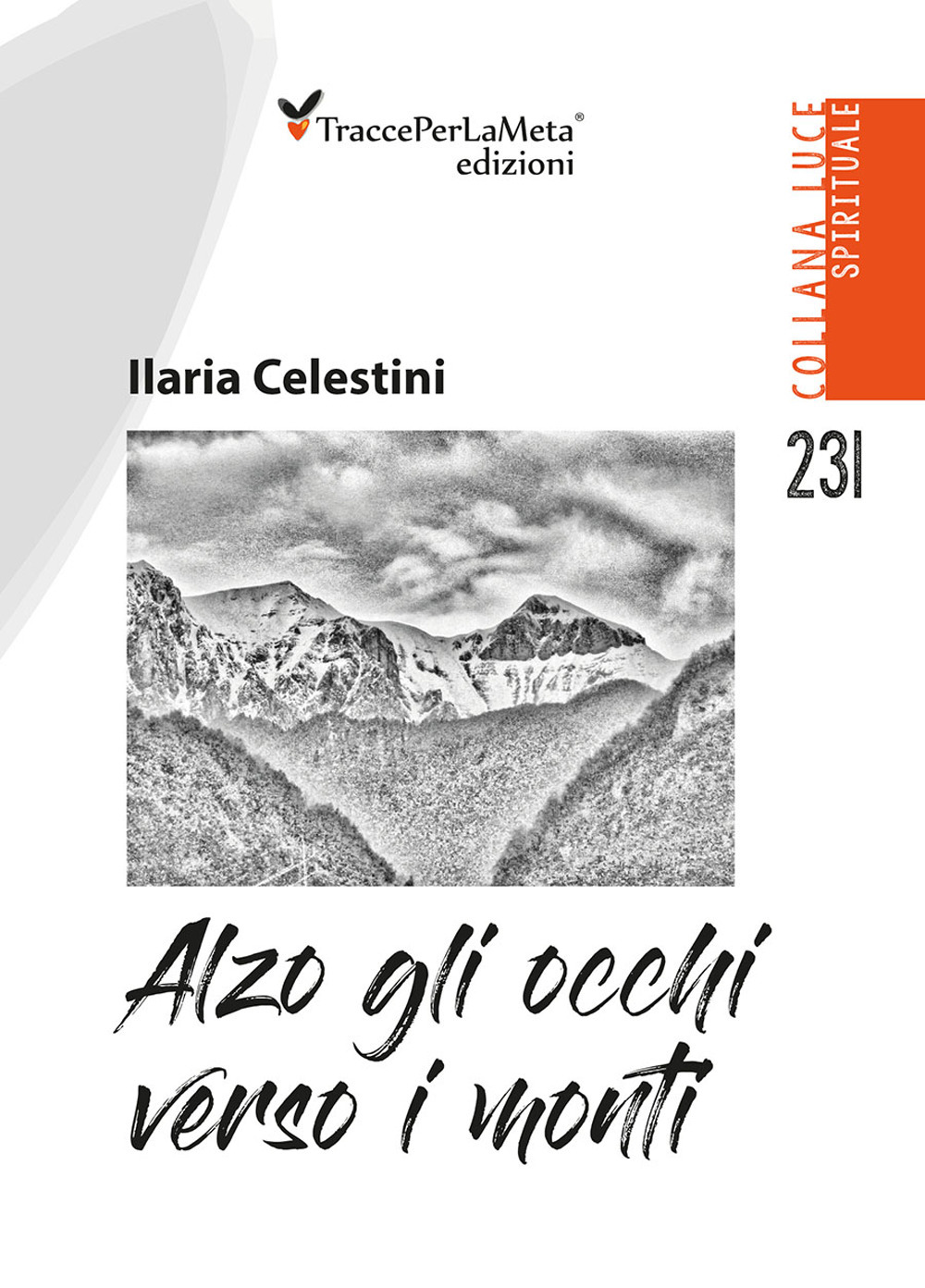Alzo gli occhi verso i monti. Appunti di viaggio nella vita. Nuova ediz.
