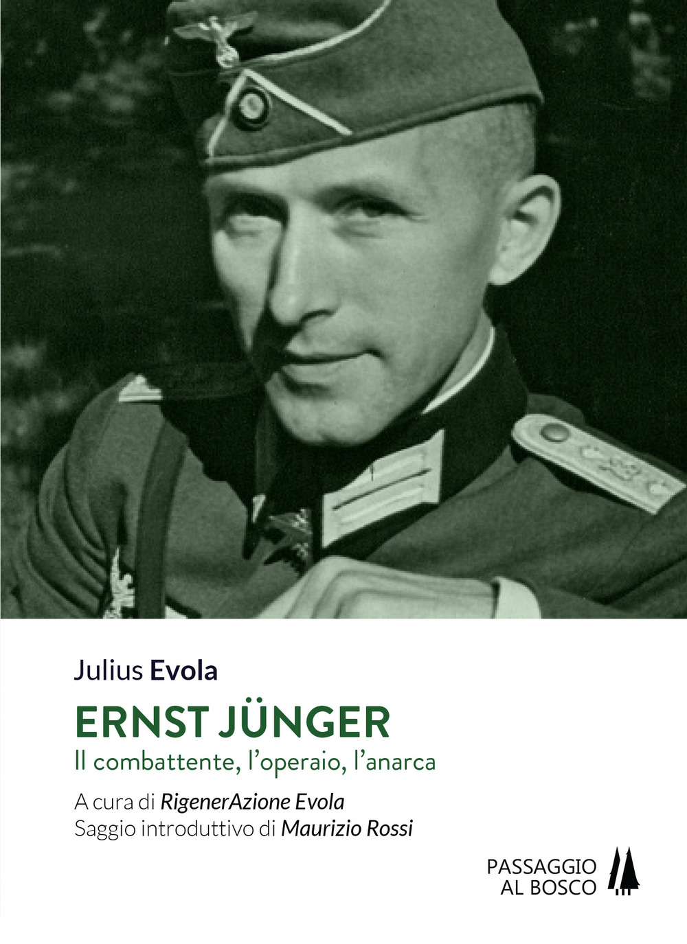 Ernst Jünger. Il combattente, l'operaio, l'anarca
