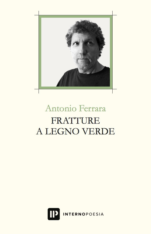 Fratture a legno verde