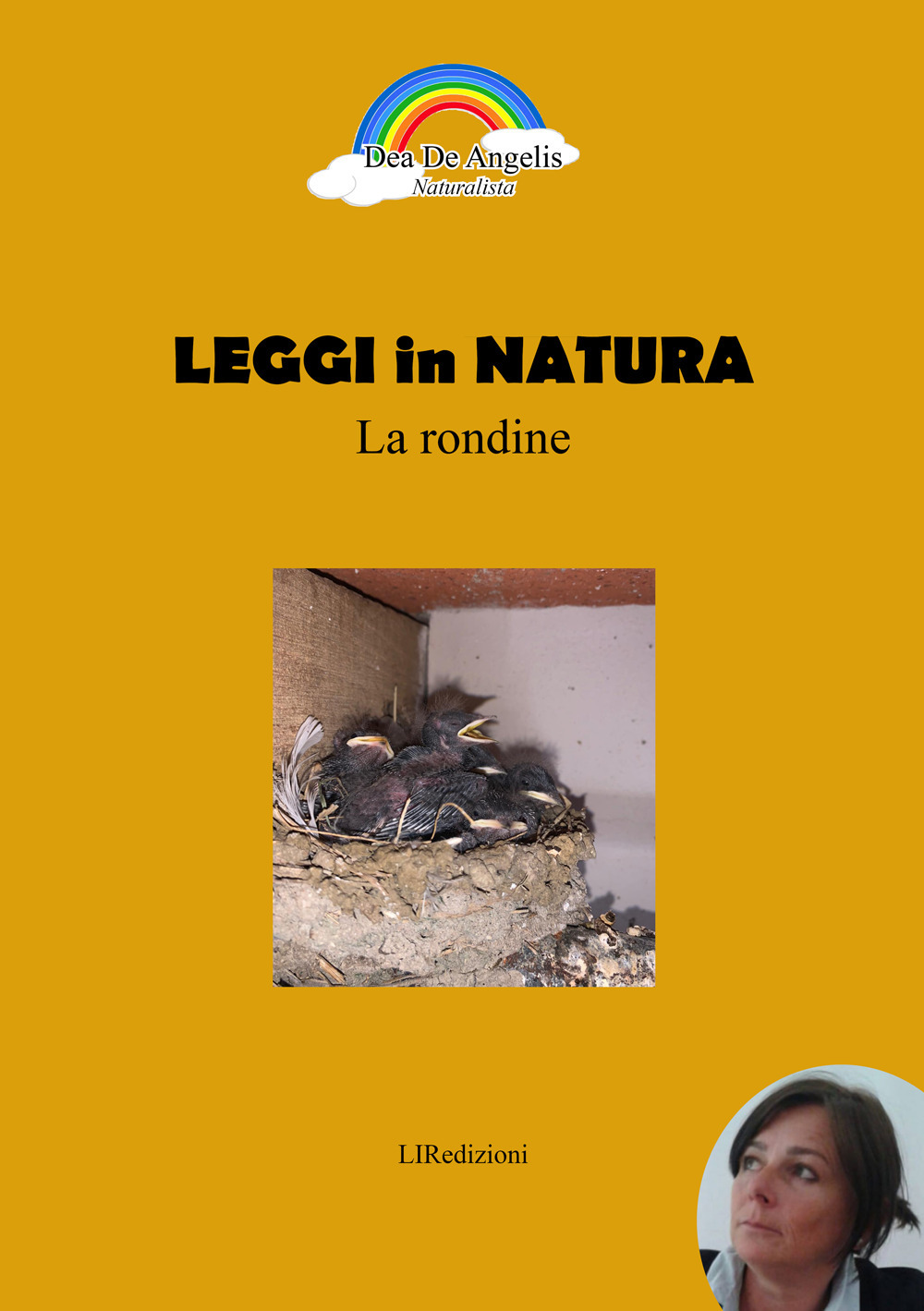 La rondine. Leggi in natura