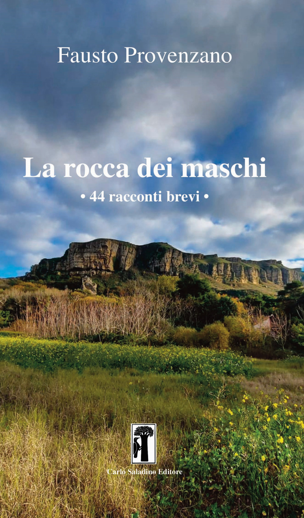 La rocca dei maschi. 44 racconti brevi