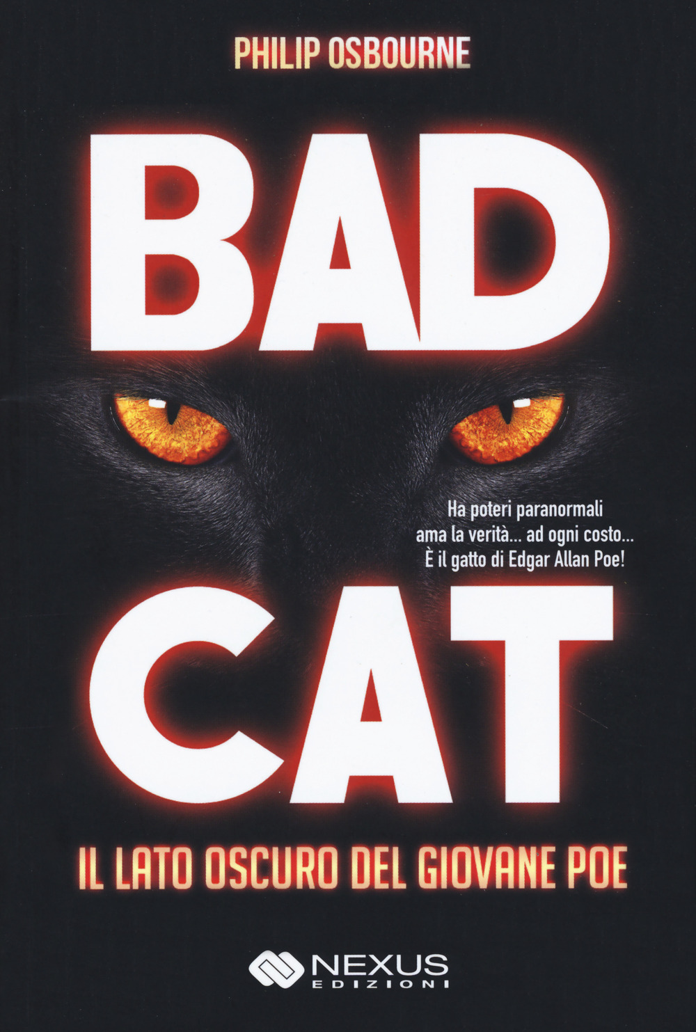 Bad cat. Il lato oscuro del giovane Poe