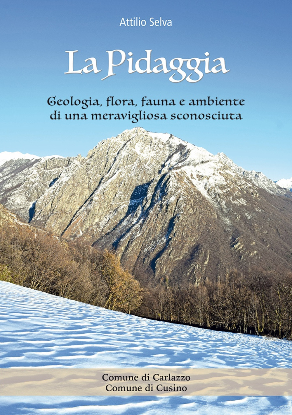 La pidaggia. Geologia, flora, fauna e ambiente di una meravigliosa sconosciuta