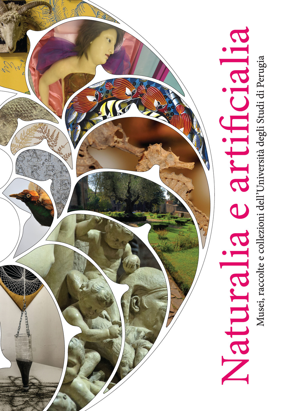 Naturalia e artificialia. Musei, raccolte e collezioni dell'Università degli Studi di Perugia. Ediz. illustrata