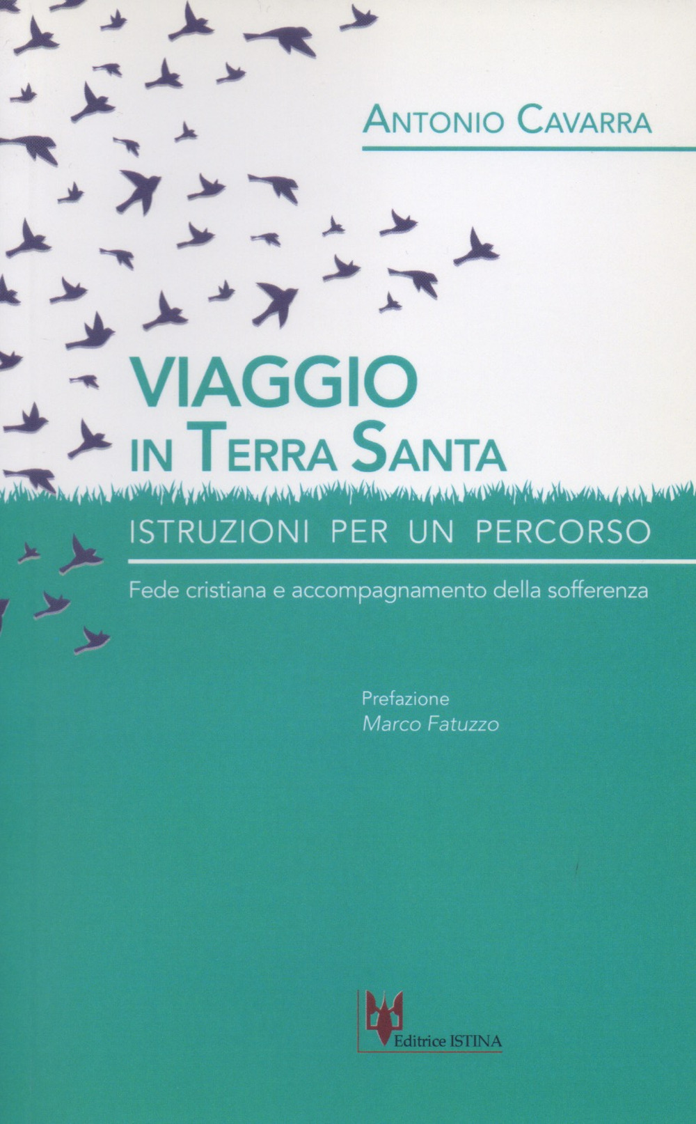 Viaggio in Terrasanta. Istruzioni per un percorso. Fede cristiana e accompagnamento della sofferenza