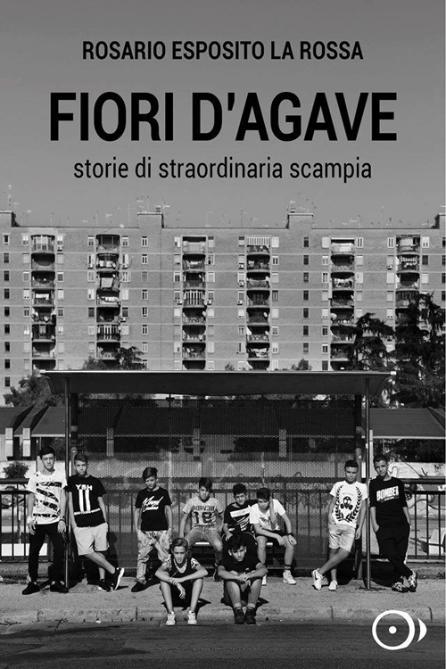 Fiori d'agave. Storie di straordinaria Scampia