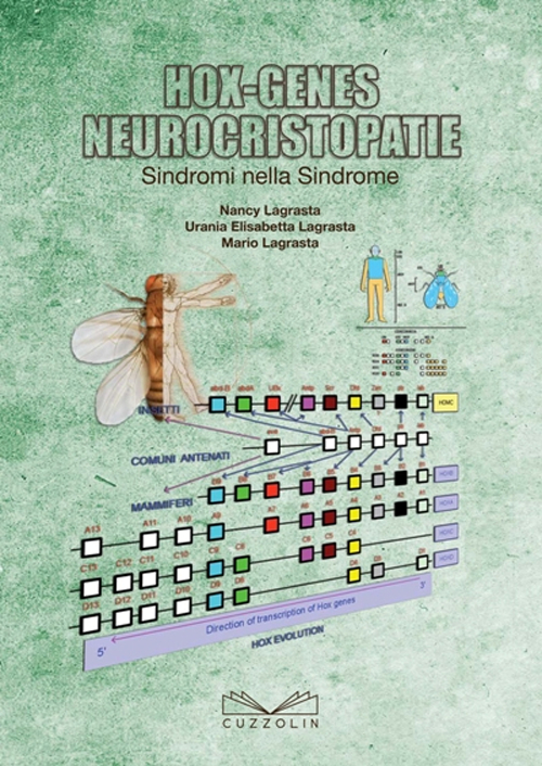 Hox-genes neurocristopatie