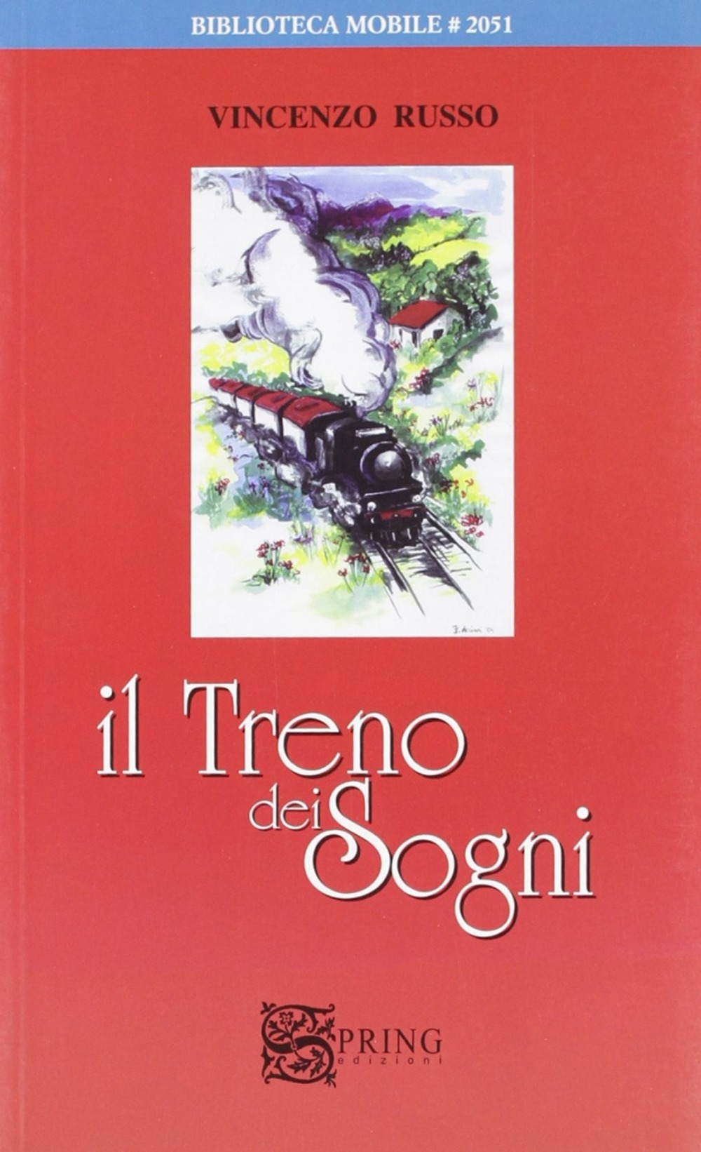 Il treno dei sogni. Un viaggio a Lourdes tra fede e allegria