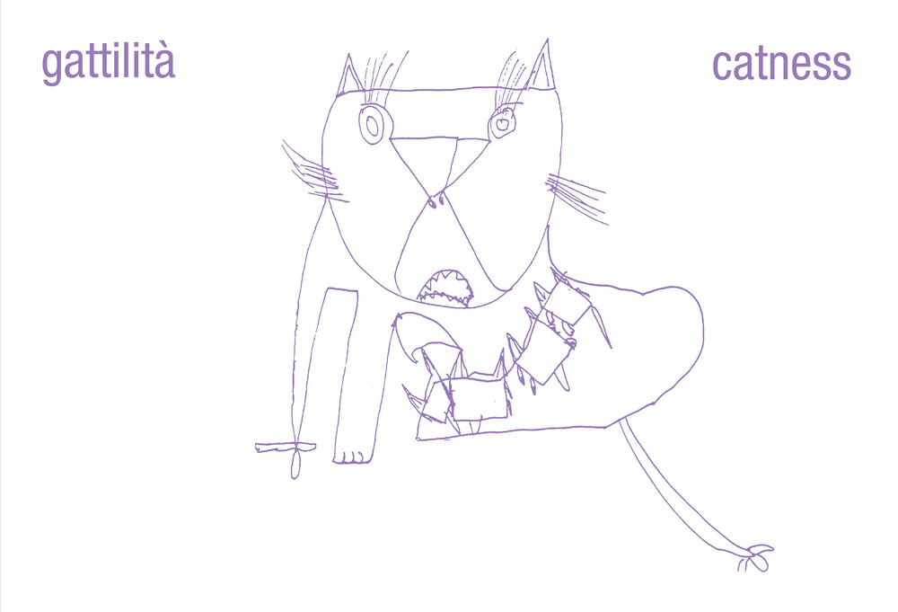 Gattilità-Catness