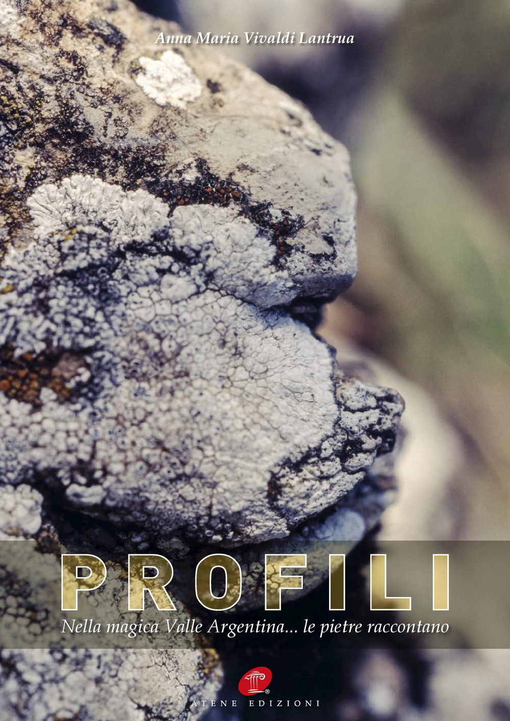 Profili. Nella magica Valle Argentina... le pietre raccontano. Ediz. illustrata