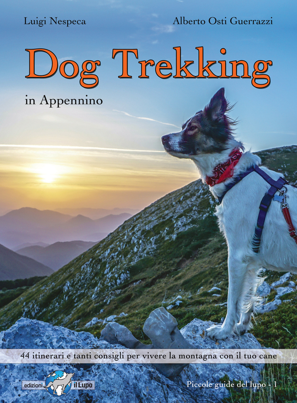 Dog trekking in Appennino. 44 itinerari e tanti consigli per vivere la montagna con il tuo cane