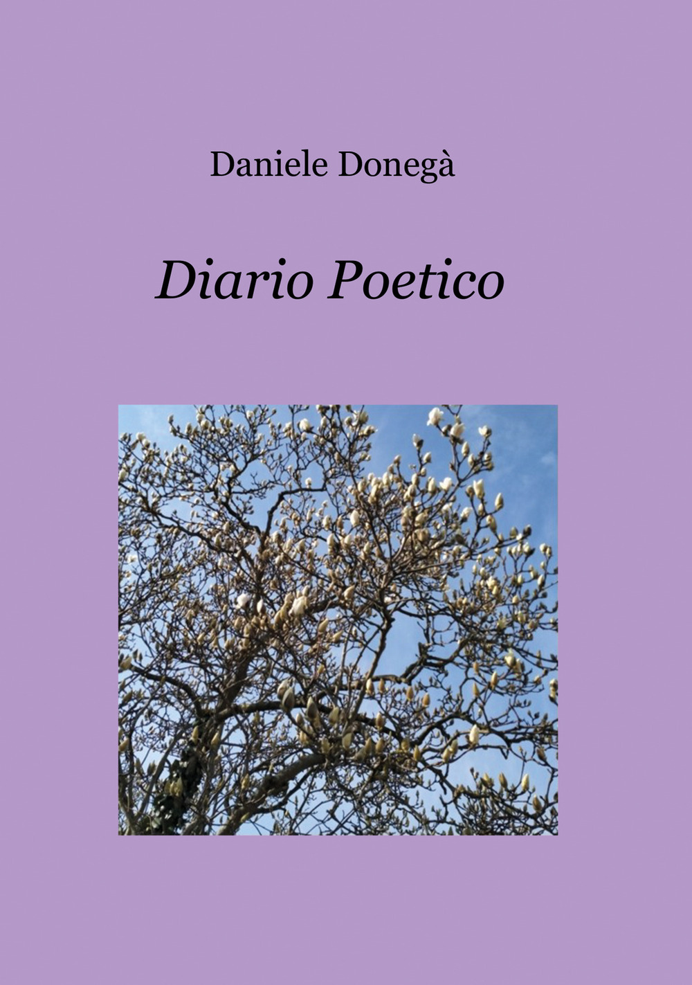 Diario poetico