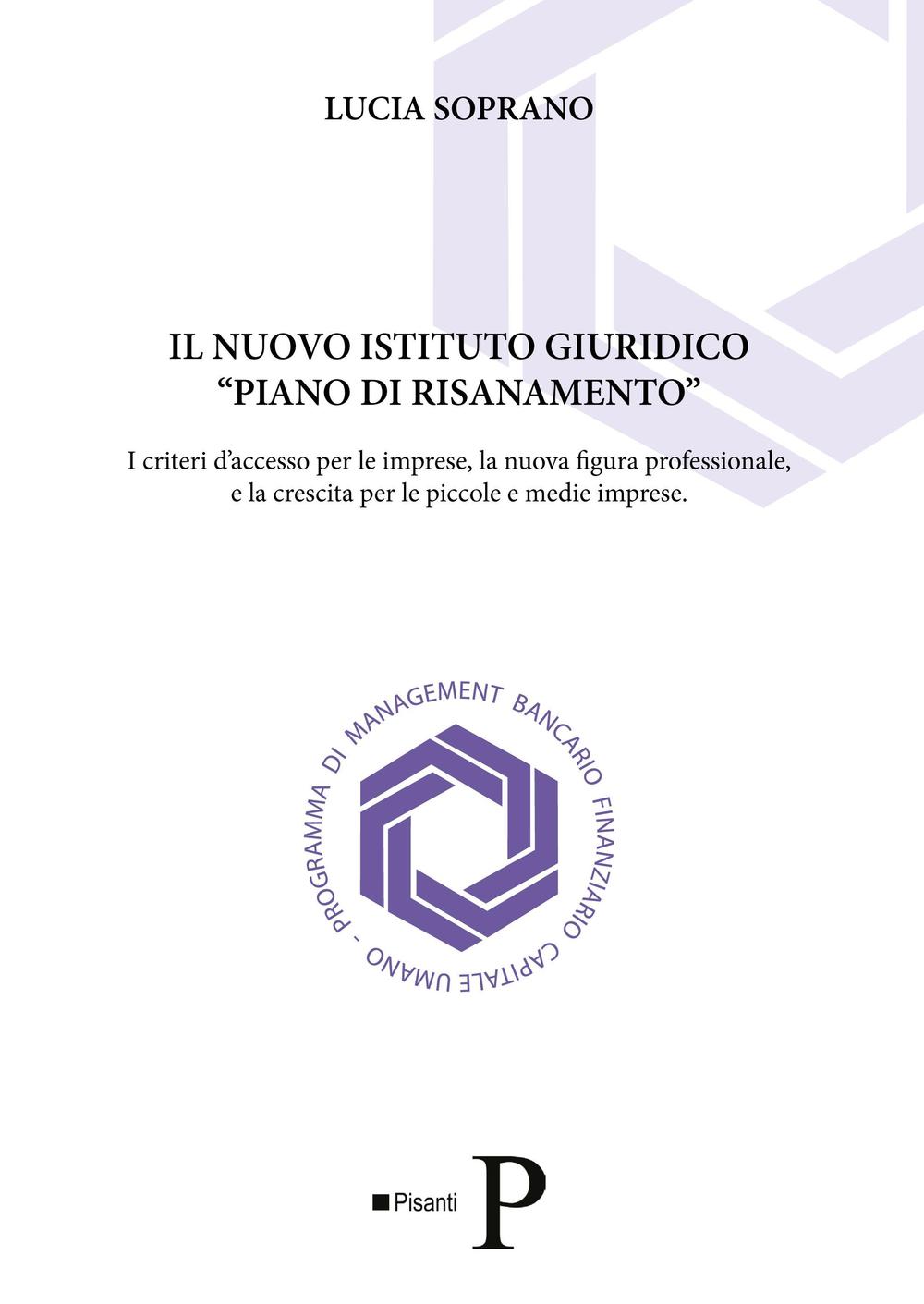 Il nuovo istituto giuridico «piano di risanamento». I criteri d'accesso per le imprese, la nuova figura professionale, e la crescita per le piccole e medie imprese