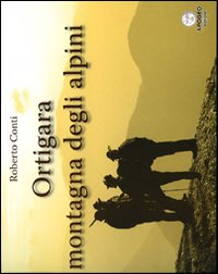 Ortigara montagna degli alpini