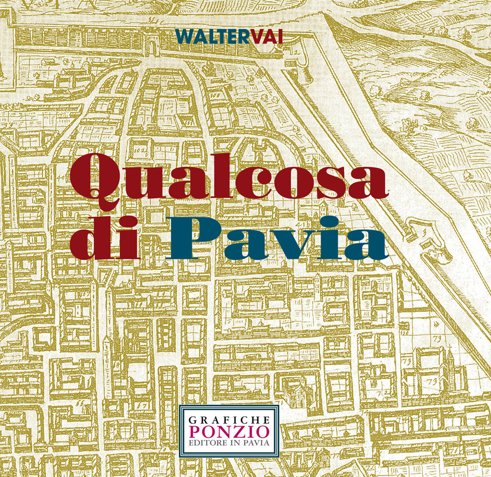 Qualcosa di Pavia. Ediz. illustrata