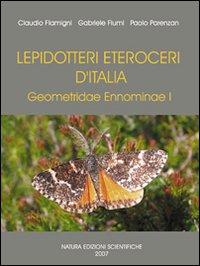 Lepidotteri Eteroceri d'Italia Geometridae Ennominae. Ediz. illustrata. Vol. 1