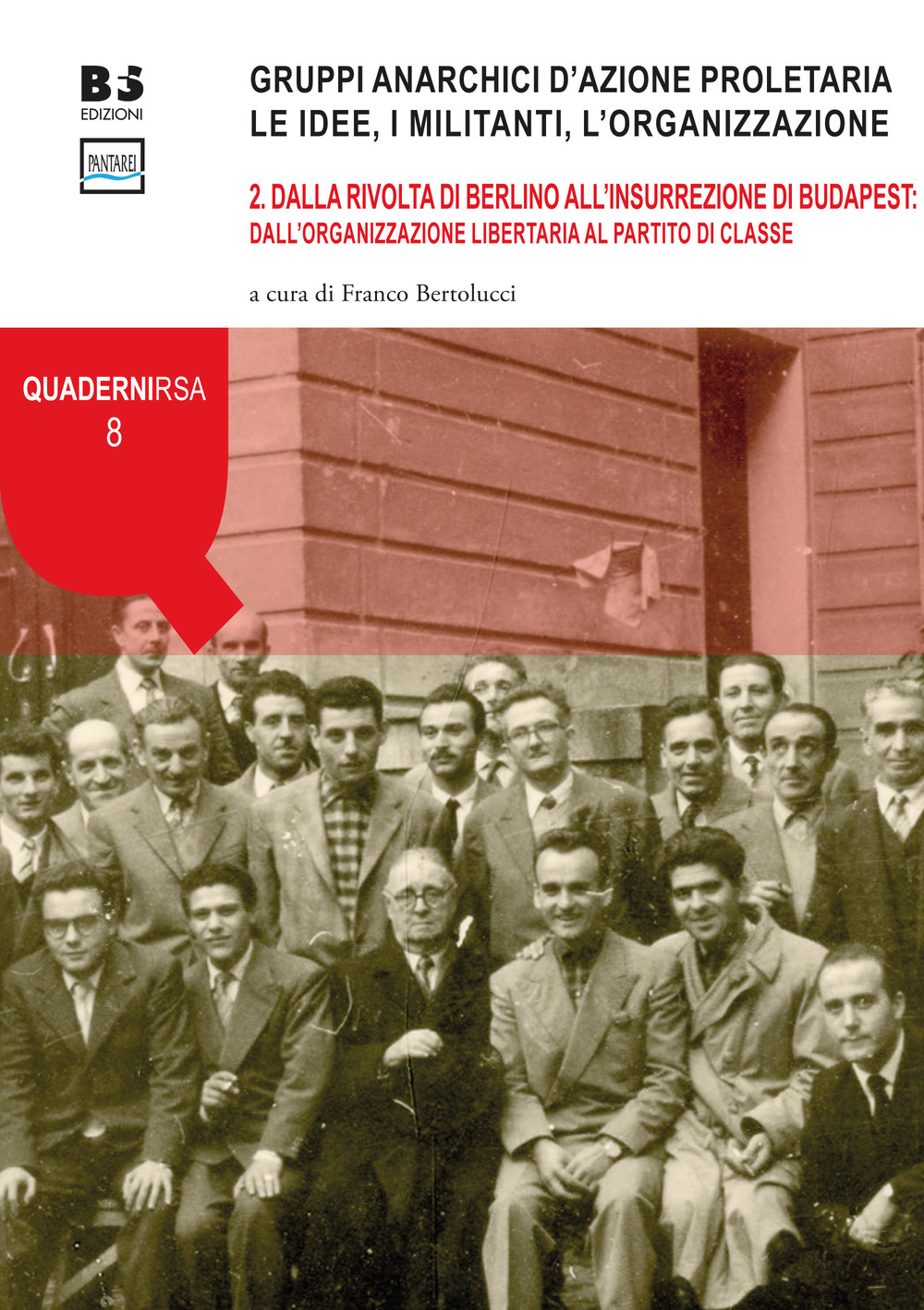 Gruppi anarchici d'azione proletaria. Le idee, i militanti, l'organizzazione. Vol. 2: Dalla rivolta di Berlino all'insurrezione di Budapest: dall'organizzazione libertaria al partito di classe