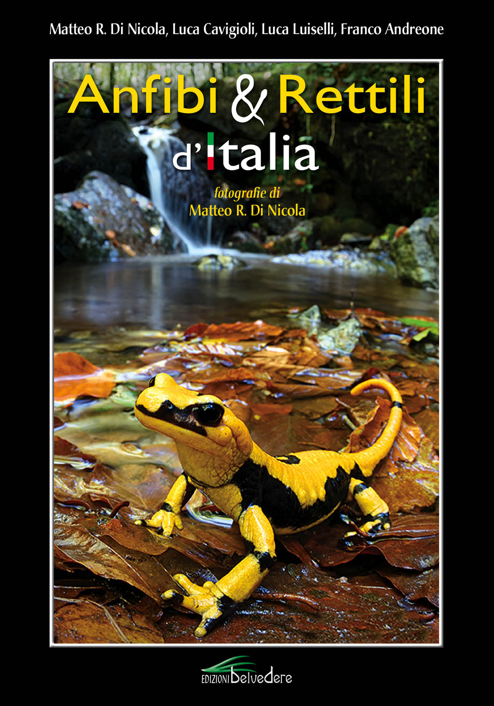 Anfibi & rettili d'Italia