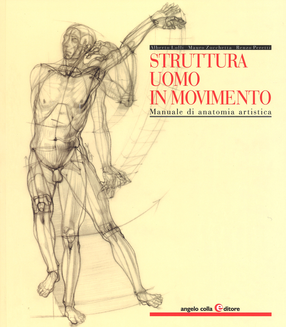 Struttura uomo in movimento. Manuale di anatomia artistica