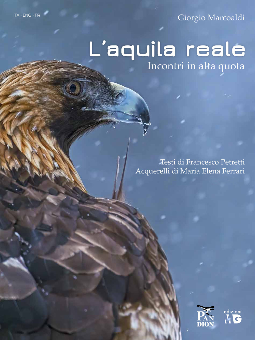 Aquila reale. Incontri in alta quota