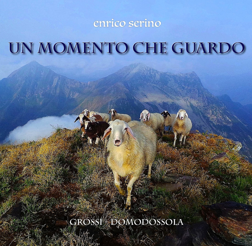 Un momento che guardo. Scorci d'avventura in un'alpina commedia a favor di natura. Ediz. illustrata