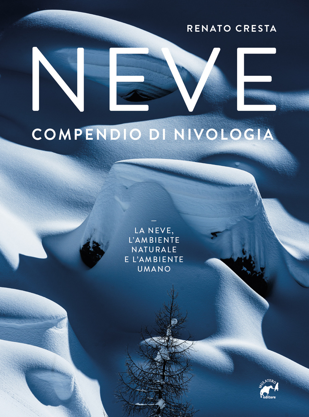 Neve. Compendio di nivologia