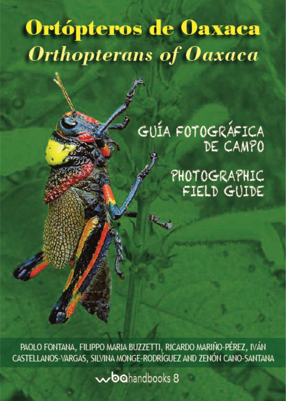 Ortopteros de Oaxaca. Fotografica de campo-Orthopterans of Oaxaca. Photographic field guide. Ediz. illustrata