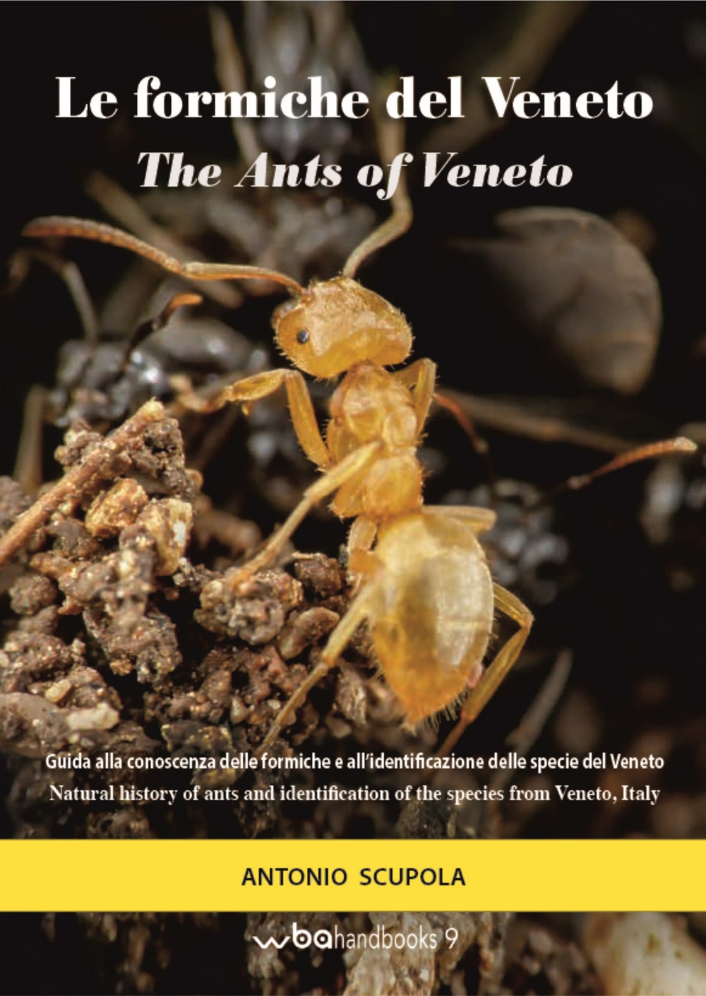 Le formiche del Veneto. Guida al riconoscimento delle specie con note di mirmecologia generale-The ants of Veneto. Guide to recognition of species with notes of general myopecology