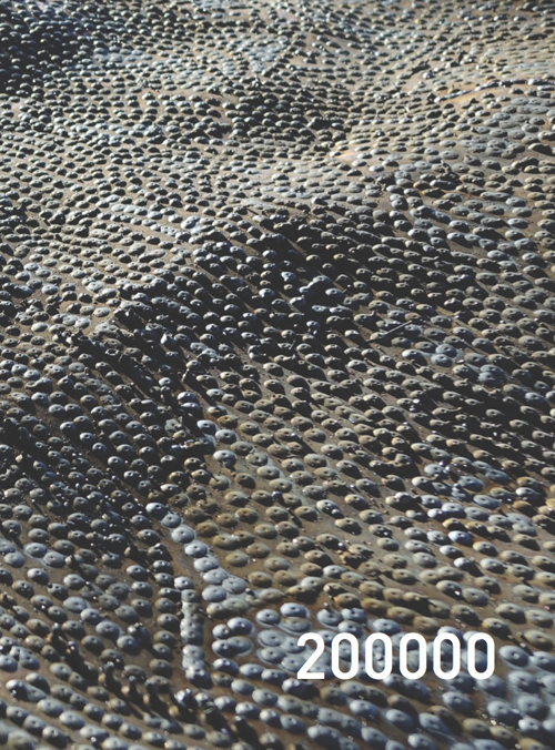 200000. Catalogo della mostra (Milano, marzo 2016). Ediz. multilingue