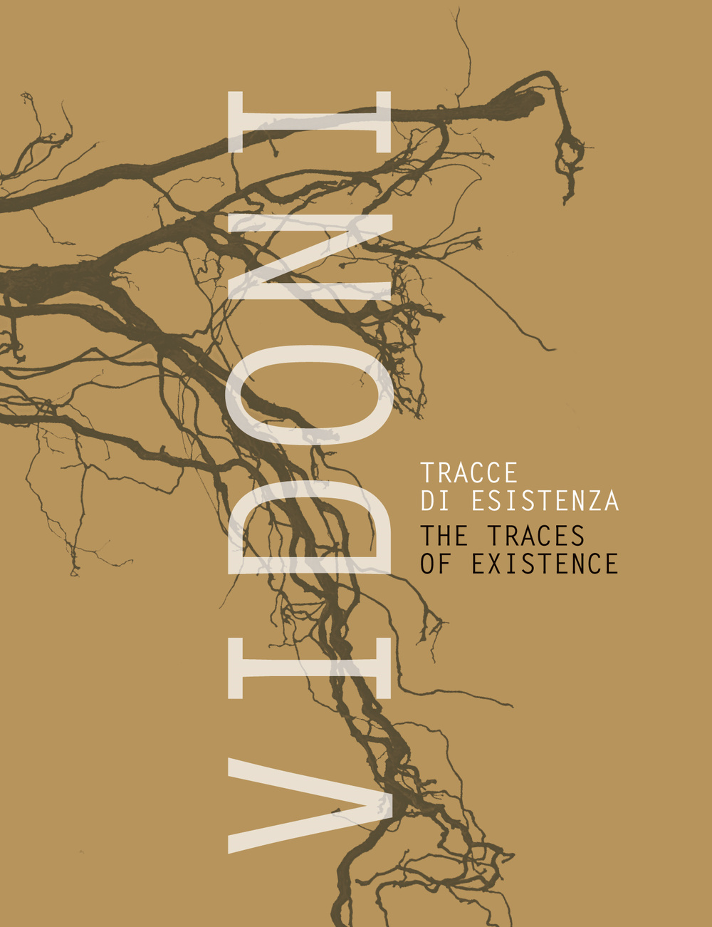 Vidoni. Tracce di esistenza-The traces of existence. Ediz. bilingue