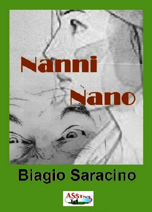 Nanni nano