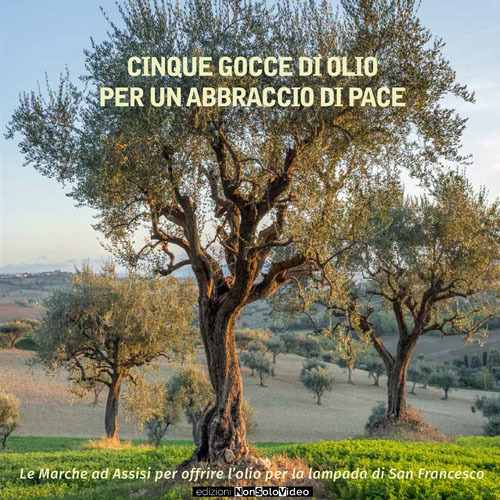 Cinque gocce di olio per un abbraccio di pace. Le Marche ad Assisi per offrire l'olio per la lampada di san Francesco