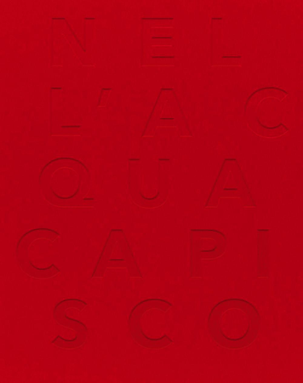 Nell'acqua capisco. Ediz. multilingue