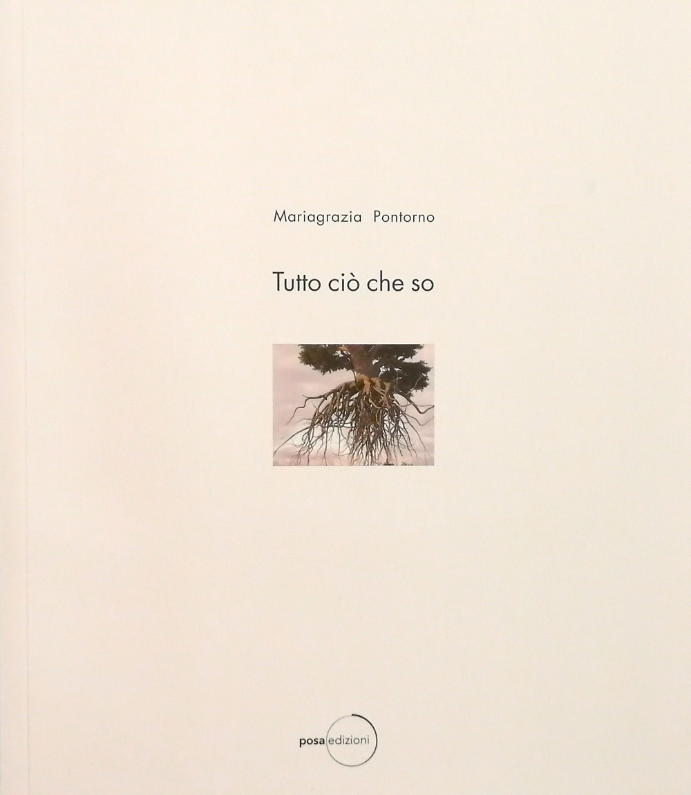 Tutto ciò che so (25 ottobre 2014-27 febbraio 2015). Ediz. italiana e portoghese