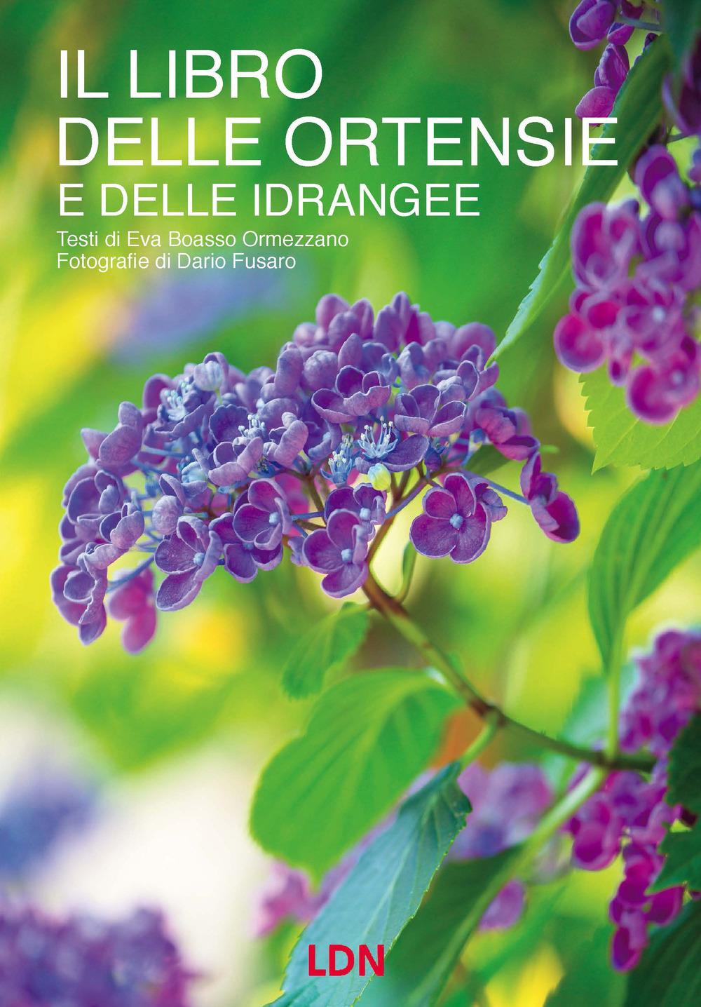 Il libro delle ortensie e dell idrangee