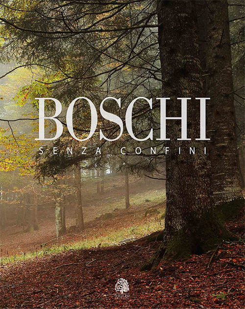 Boschi senza confini. Ediz. italiana e inglese