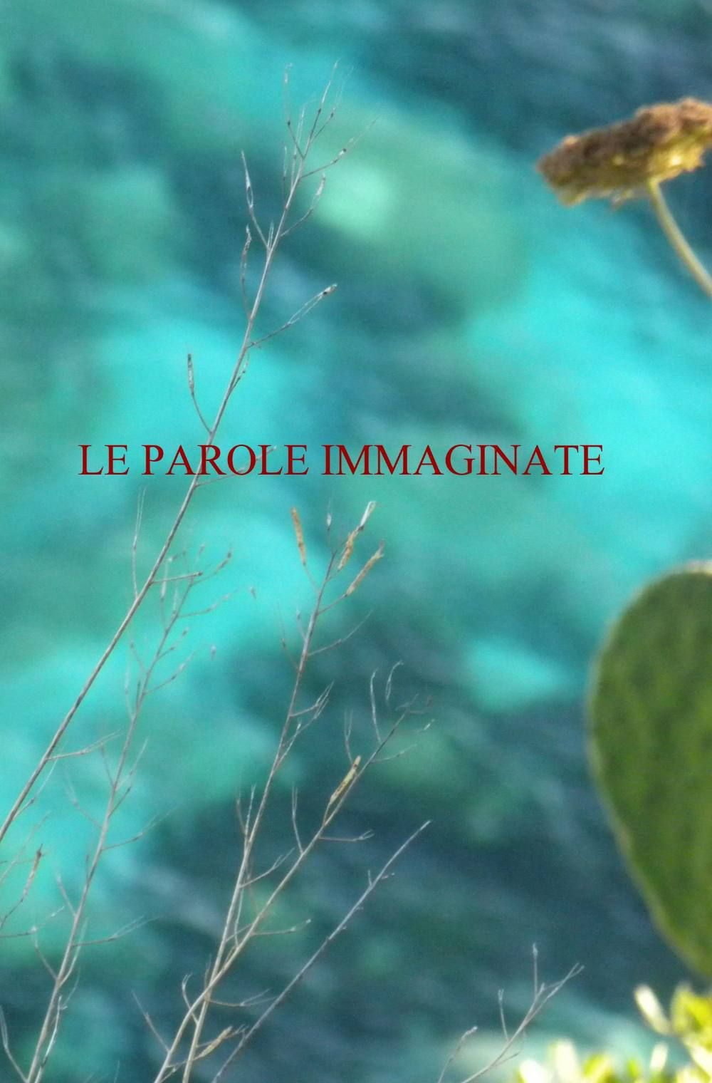 Le parole immaginate