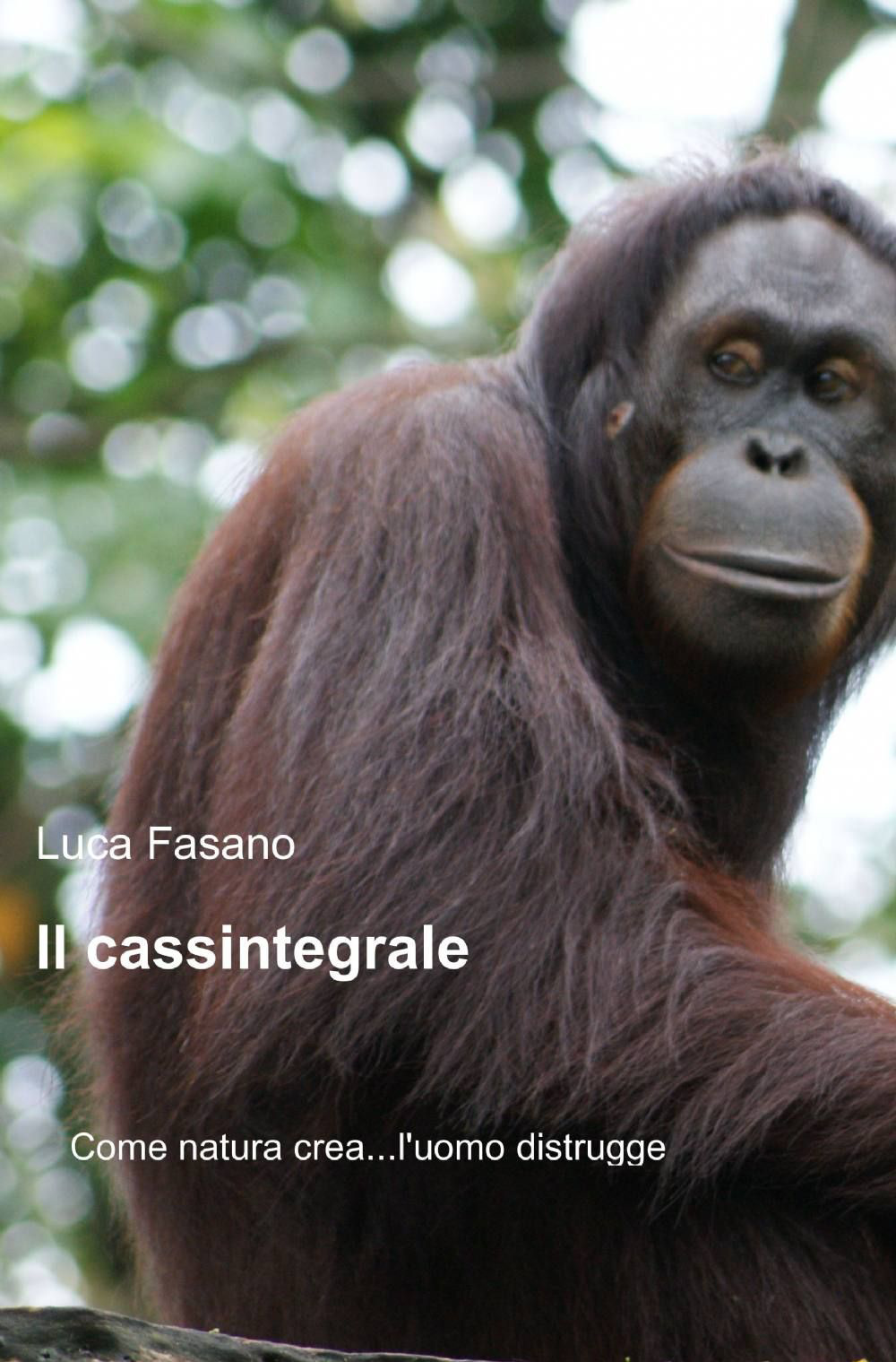 Il cassintegrale
