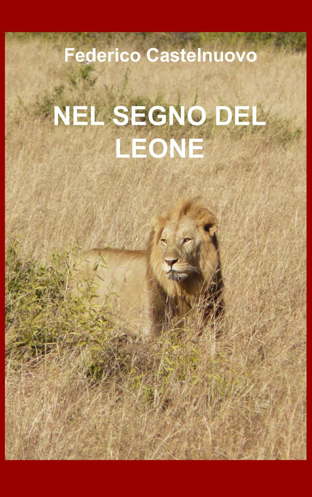 Nel segno del leone