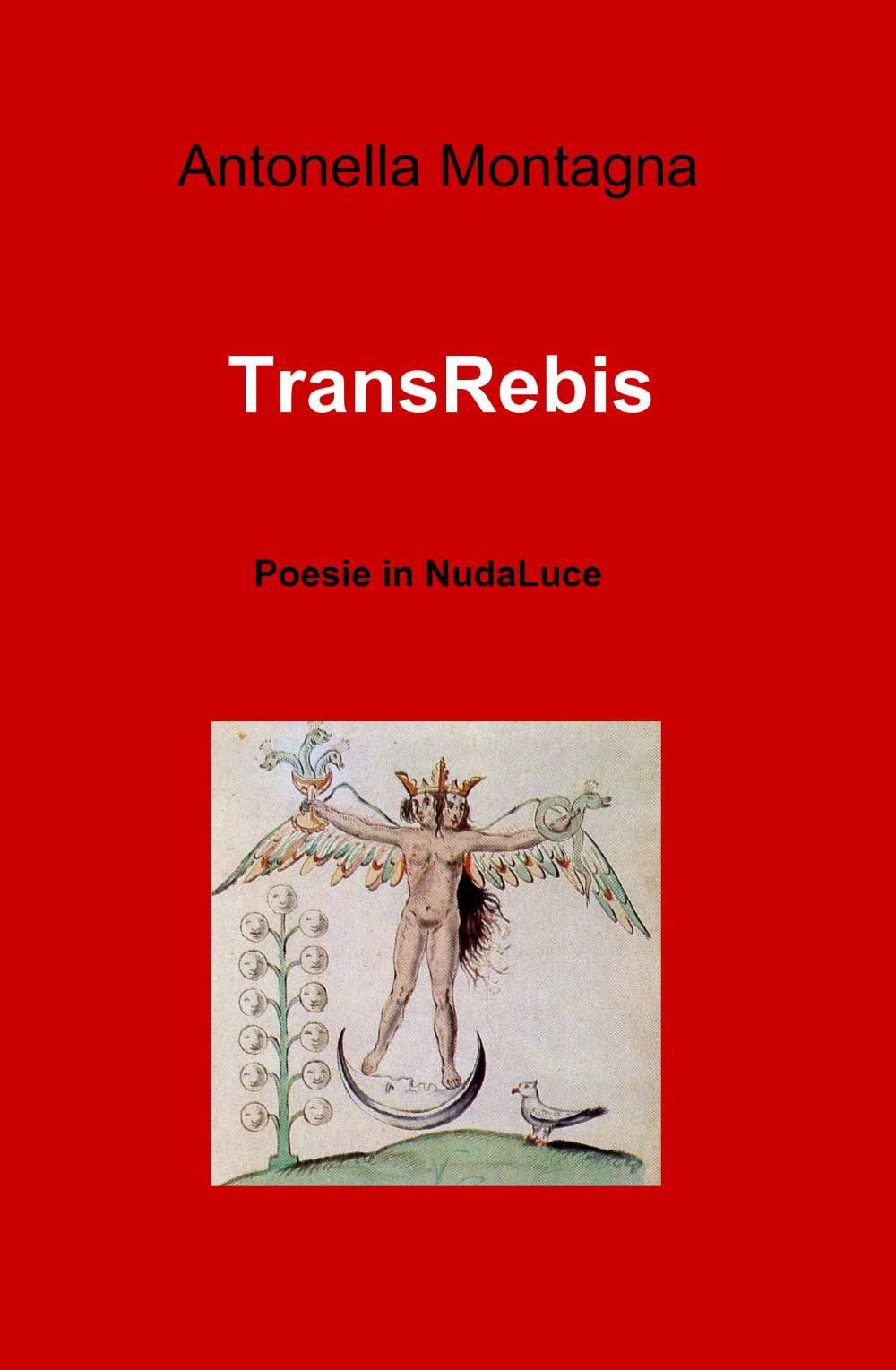 TransRebis