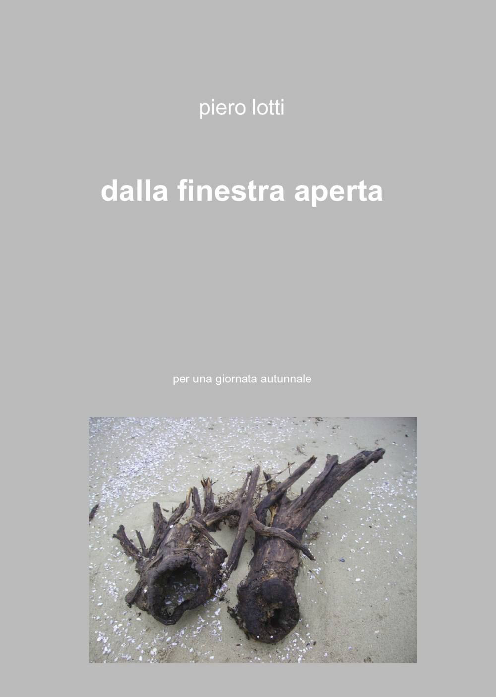 Dalla finestra aperta