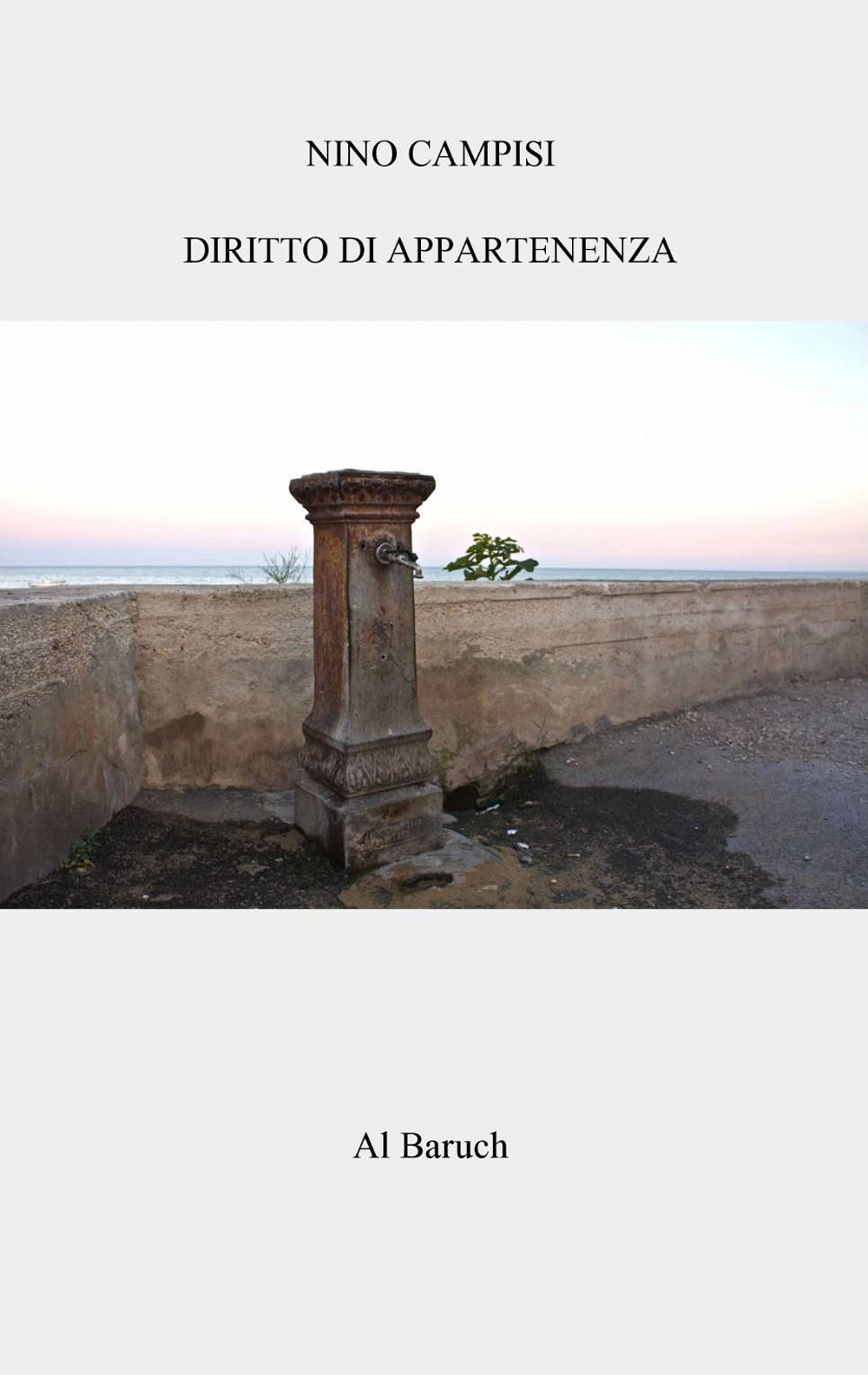 Diritto di appartenenza