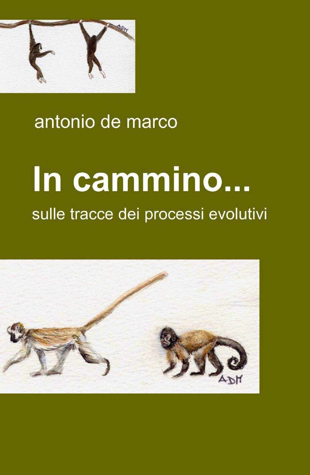 In cammino...