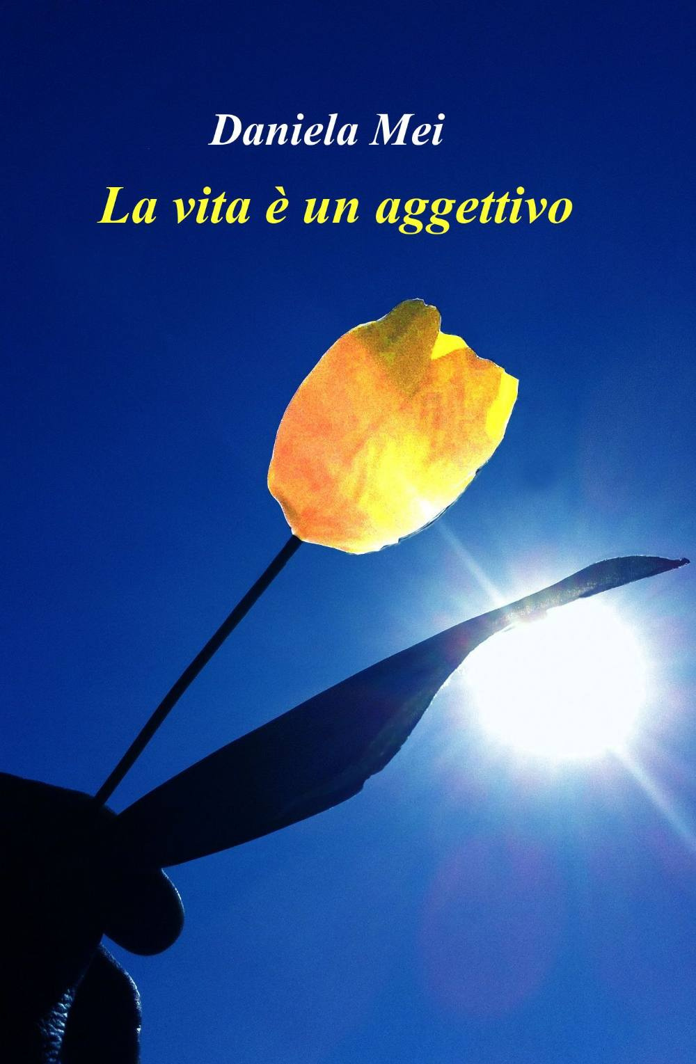 La vita è un aggettivo
