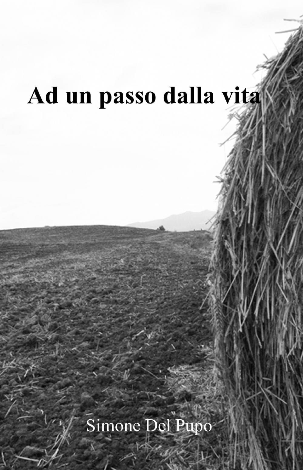 Ad un passo dalla vita
